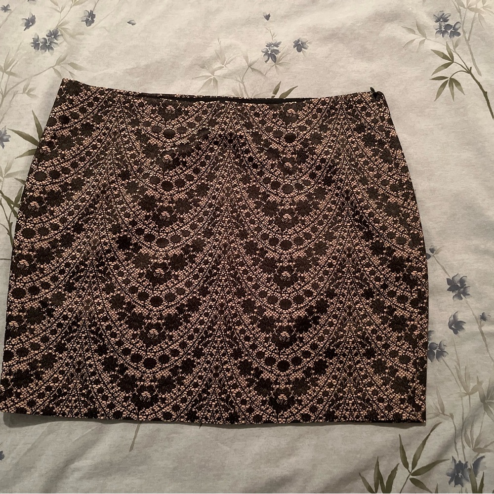 Elegant Black Lace Skirt